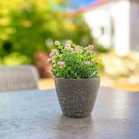 Baltischer Hof 09 Apartment Boltenhagen (Ostseebad)