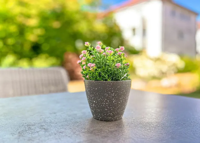 Baltischer Hof 09 Apartman Boltenhagen